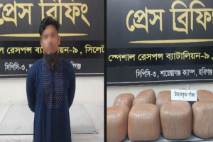 শায়েস্তাগঞ্জে ৫৫ কেজি গাঁজাসহ আটক ১, পিকআপ জব্দ শায়েস্তাগঞ্জে ৫৫ কেজি গাঁজাসহ আটক ১, পিকআপ জব্দ