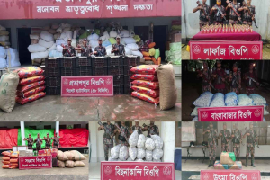 সিলেট সীমান্তে ৩৭ লাখ টাকার চোরাই পণ্য জব্দ