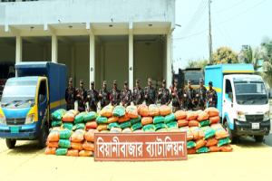বিয়ানীবাজার সীমান্তে বিজিবি’র অভিযান, ভারতীয় অবৈধ জিরা আটক