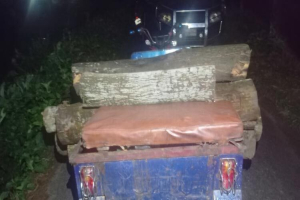 উজাড় হচ্ছে কালাছড়া বিটের বৃক্ষ, হুমকির মুখে পরিবেশ উজাড় হচ্ছে কালাছড়া বিটের বৃক্ষ, হুমকির মুখে পরিবেশ