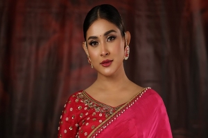 বিয়ের পর সুখবর দিলেন মেহজাবীন