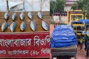 সীমান্তে কিছুতেই থামছেনা চোরাচালান