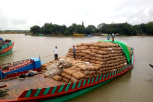 ধানের দাম নেই, চাহিদাও নেই—মধ্যনগরে বিপাকে সহস্র কৃষক