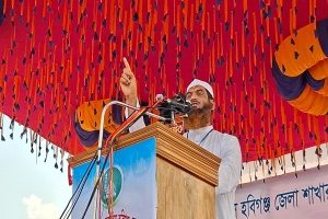 গণভোট অবৈধ হলে বিএনপি সরকারও অবৈধ: মামুনুল হক গণভোট অবৈধ হলে বিএনপি সরকারও অবৈধ: মামুনুল হক