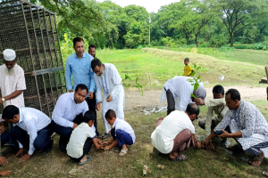 জাতীয় প্রাথমিক শিক্ষা পদক-২০২৬ উপলক্ষে দিরাইয়ে বৃক্ষরোপণ কর্মসূচির উদ্বোধন জাতীয় প্রাথমিক শিক্ষা পদক-২০২৬ উপলক্ষে দিরাইয়ে বৃক্ষরোপণ কর্মসূচির উদ্বোধন