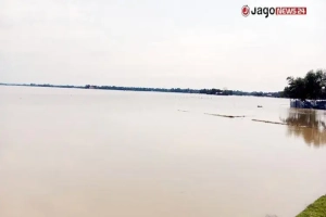 হাওরে পানি কমলেও ধানের আশা ছেড়ে দিচ্ছেন কৃষকরা
