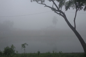 ঘন কুয়াশায় স্থবির জনজীবন