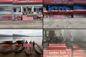 গোয়াইনঘাট সীমান্তে ৩৫০০ কেজি ভারতীয় পেঁয়াজ ও ১২০ বোতল মদ জব্দ