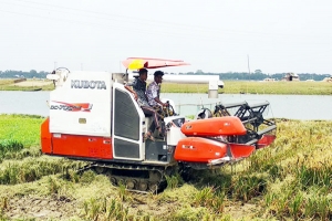 সুনামগঞ্জে ৪৯ টি হারভেস্টার মেশিনের মধ্যে ১৪ টি বিকল