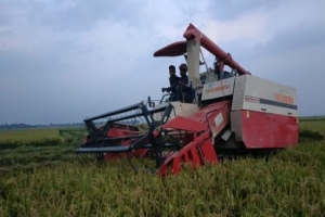 সুনামগঞ্জের হাওরে ‘যাদুর মেশিন’, স্বস্তিতে কৃষকরা