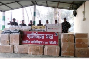 মাধবপুরে ৫১ লাখ টাকার কসমেটিক্স আটক করেছে বিজিবি