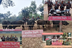 বিজিবির অভিযানে ৯১ লক্ষ টাকার চোরাচালানী মালামাল আটক