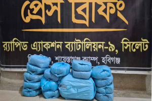 ২০ কেজি গাঁজাসহ দুই মাদক কারবারি গ্রেফতার ২০ কেজি গাঁজাসহ দুই মাদক কারবারি গ্রেফতার