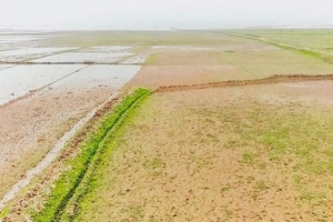 রাবার ড্যাম লিকেজ, দুশ্চিন্তায় হাওর পাড়ের কৃষকরা