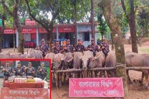 দোয়ারাবাজার সীমান্তে মহিষের চালানসহ মশলা ও প্রসাধনী জব্দ