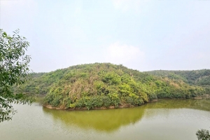 চা বাগানের ভেতরে লেক, সৌন্দর্যে মুগ্ধ পর্যটকরা