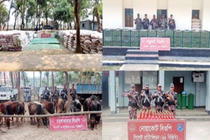 সীমান্তে প্রায় পাঁচ কোটি টাকার চোরাই পণ্য আটক 