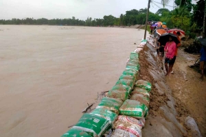 মৌলভীবাজারে চারটি নদ-নদীর পানি বিপদসীমার ওপর