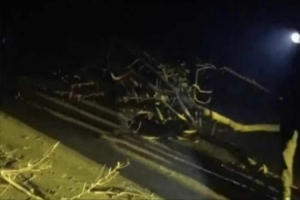 জগন্নাথপুর গভীর রাতে সড়কে গাছ ফেলে দুর্ধর্ষ ডাকাতি