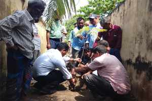 শাল্লায় বৃক্ষরোপণ ও বৃক্ষ বিতরণ কর্মসূচি অনুষ্ঠিত
